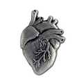 Anatomical Heart Lapel Pin
